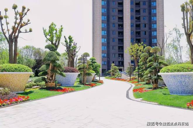 泾绿中海火得一塌糊涂！了解背后原因！凯发K8登录入口泗泾绿中海网站-泗(图10)